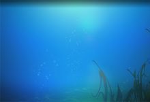 93款海底海量深海背景视频素材