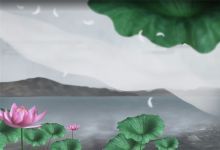 42款竹露荷花水墨背景视频素材