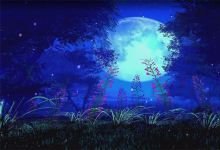 77款夜色明月荷花背景视频素材