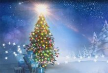 170款圣诞节节日背景视频素材